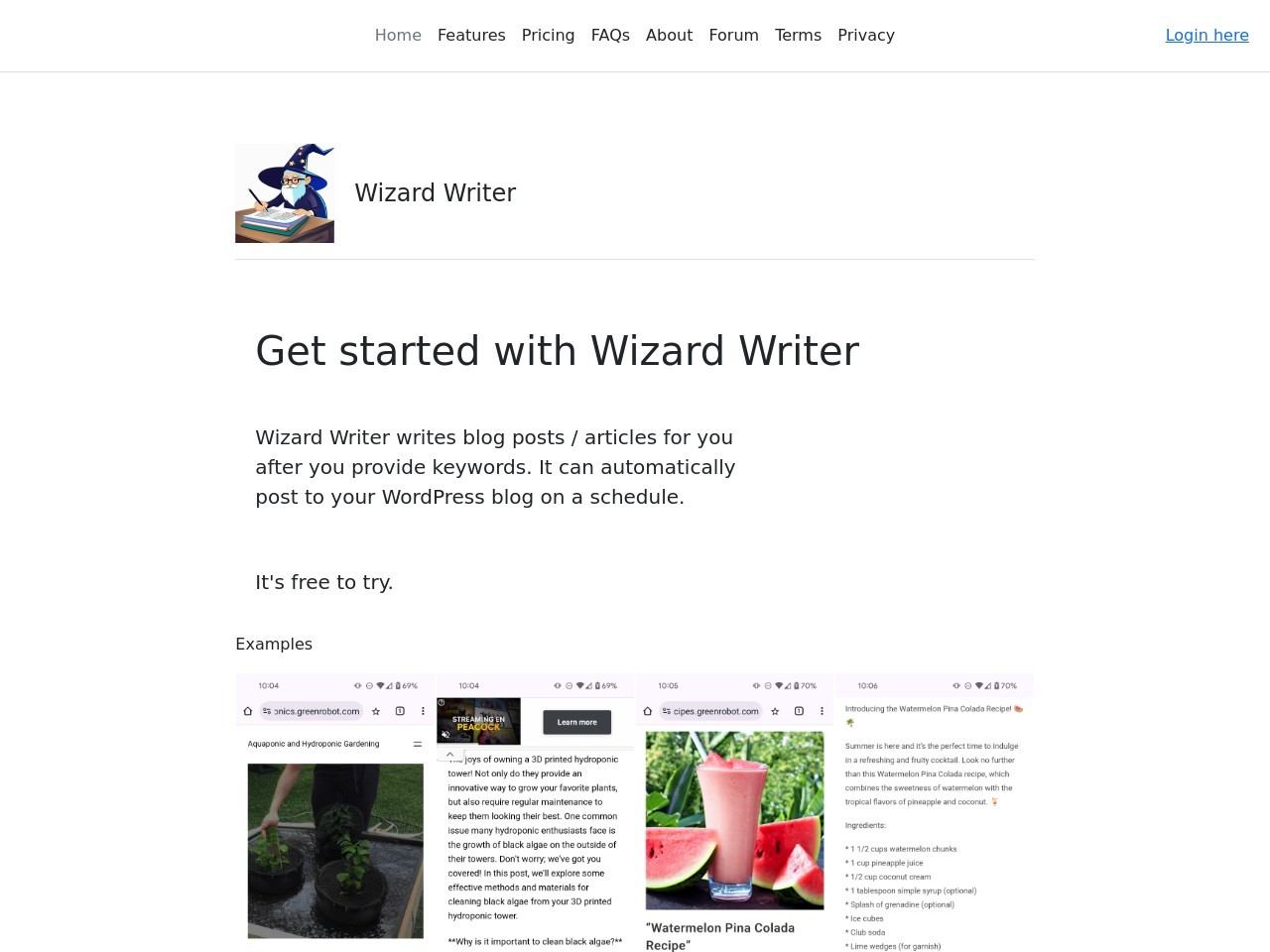 Wizard Writer